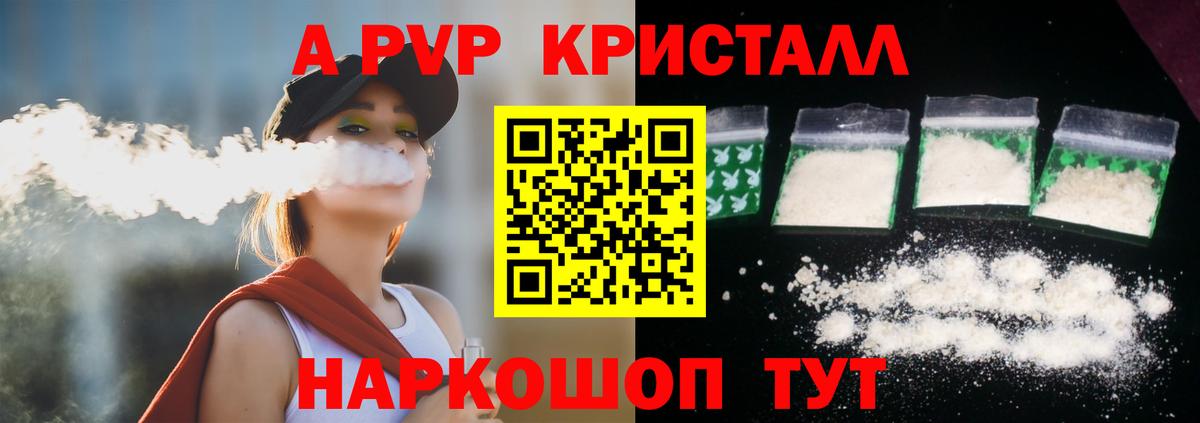 A PVP СК КРИС Шадринск