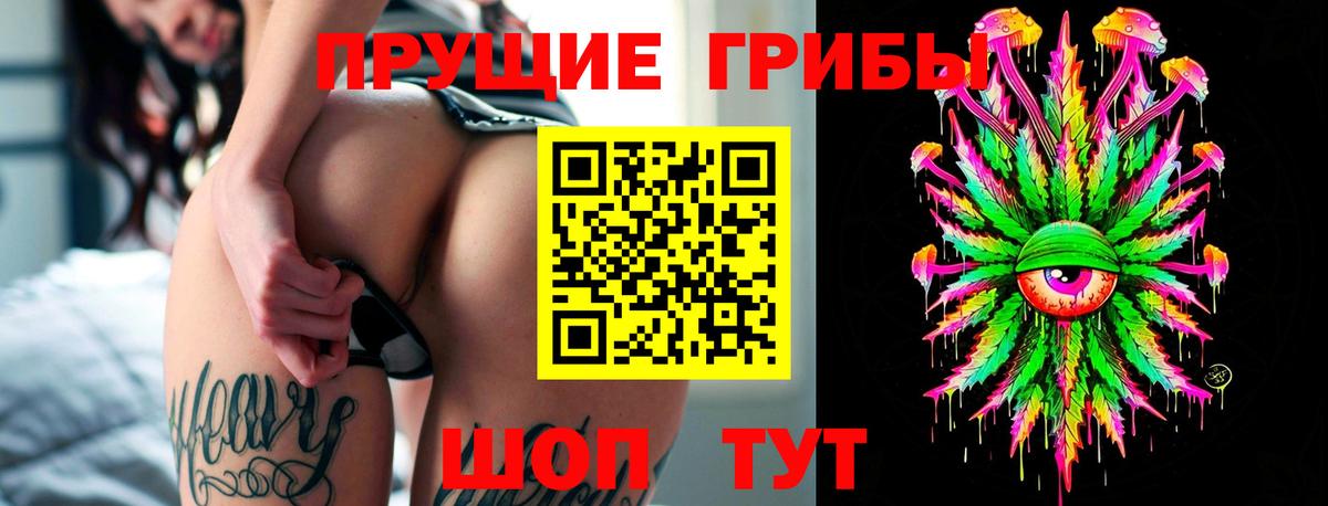 Шадринск  Псилоцибиновые грибы мицелий  хочу наркоту  Вход с VPN 